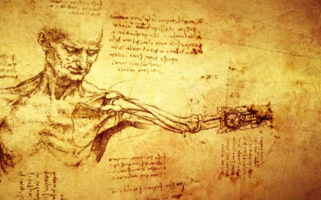 leonardo da vinci anatomical drawings w7jmhd7yc8rd4qzu